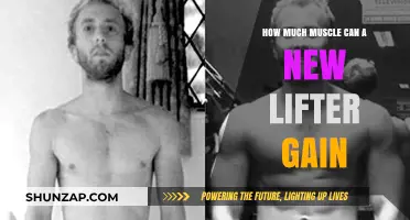 Maximizing Muscle Gains: What New Lifters Can Realistically Achieve