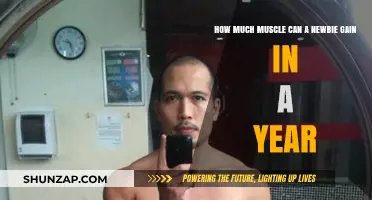 Newbie Muscle Gains: Yearly Potential for Beginners in Strength Training