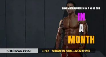 Muscle Gain for Beginners: Monthly Progress and Potential Explained