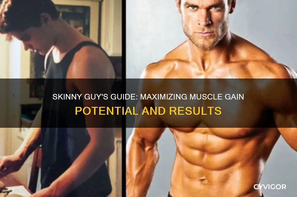 how much muscle can a skinny guy gain