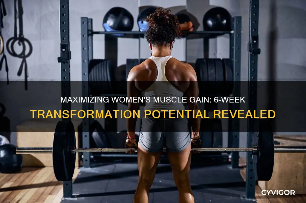 how much muscle can a woman gain in 6 weeks