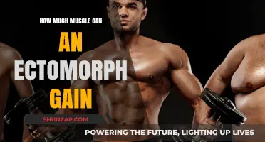 Ectomorph Muscle Gain: Maximizing Growth Potential and Strategies