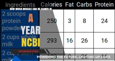 Maximizing Muscle Gain: Yearly Potential Based on NCBI Research