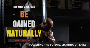 Maximizing Natural Muscle Growth: Realistic Gains Without Steroids