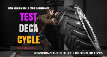 Maximizing Muscle Gains with a Testosterone Deca Cycle