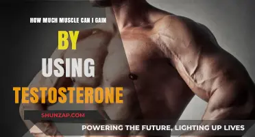 Testosterone's Impact: Maximizing Muscle Gain Potential and Results