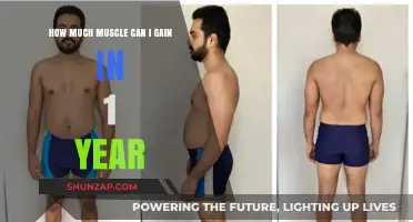 Maximize Your Muscle Growth: One-Year Transformation Potential Revealed