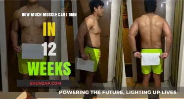 Maximize Muscle Growth: 12-Week Gains and Realistic Expectations