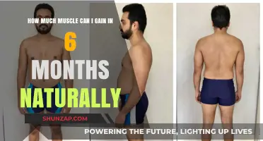 Maximizing Natural Muscle Gain: 6-Month Transformation Potential Revealed