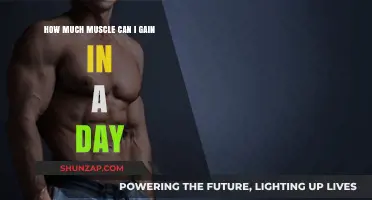 Daily Muscle Gain Limits: Understanding Realistic Growth in 24 Hours