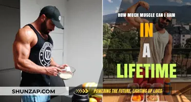 Maximizing Muscle Growth: Lifetime Potential and Training Strategies