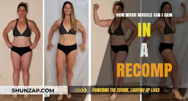 Maximize Muscle Gain During Recomp: Realistic Expectations and Strategies