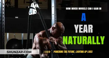 Maximizing Natural Muscle Growth: Yearly Gains Without Supplements or Steroids
