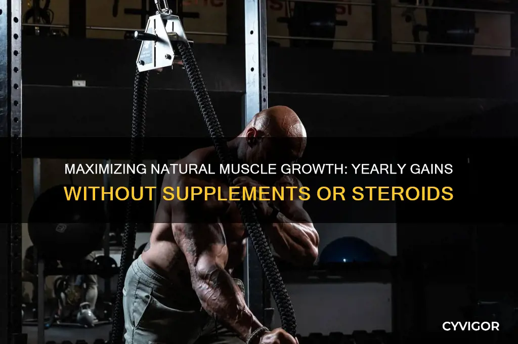 how much muscle can i gain in a year naturally