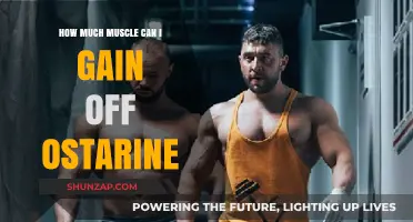 Ostarine Muscle Gains: Maximizing Growth and Results Safely Explained