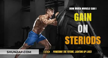 Maximizing Muscle Gains: The Real Impact of Steroids Explained