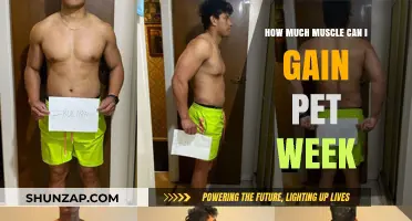 Maximizing Weekly Muscle Gains: Realistic Expectations and Strategies