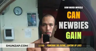 Unlocking Muscle Gains: What Newbies Can Realistically Achieve Fast