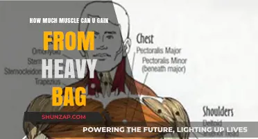 Heavy Bag Training: Maximizing Muscle Gain and Strength Potential