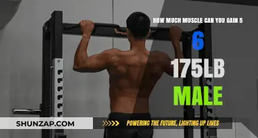 Muscle Gain Potential for 5'6", 175lb Males: Maximizing Growth