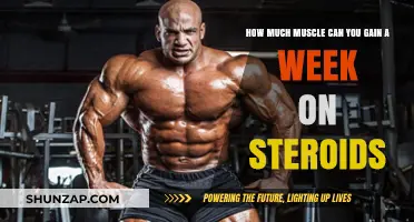 Steroids and Muscle Gain: Weekly Limits and Realistic Expectations