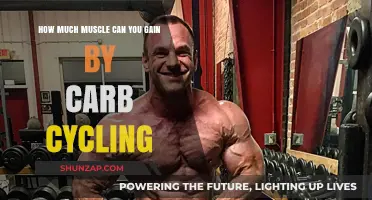 Maximize Muscle Gains: The Power of Carb Cycling Explained