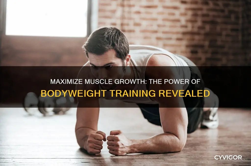 how much muscle can you gain from bodyweight exercises