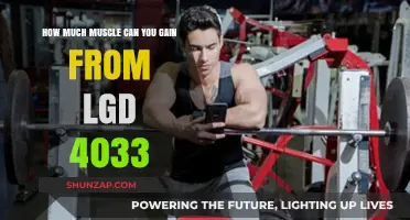 Maximizing Muscle Gains with LGD 4033: What to Expect