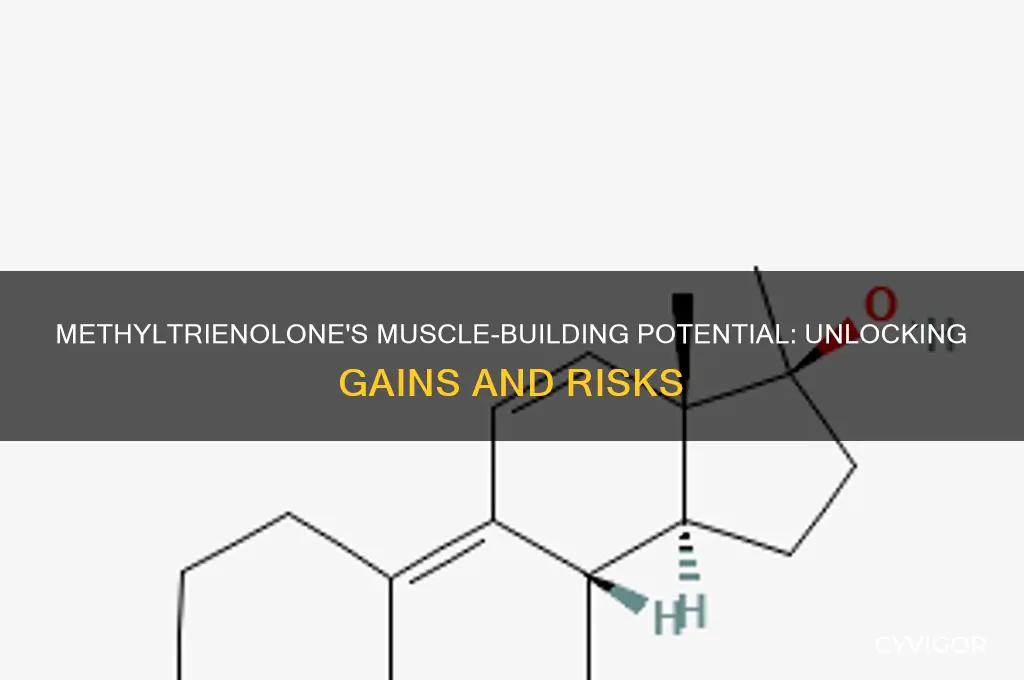 how much muscle can you gain from methyltrienolone
