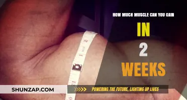 Rapid Muscle Growth: Maximizing Gains in Just Two Weeks