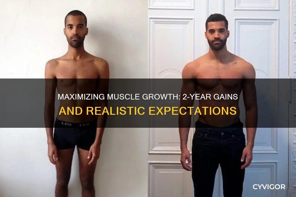 how much muscle can you gain in 2 years