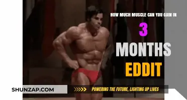 Maximize Muscle Growth: 3-Month Gains Explained and Achieved