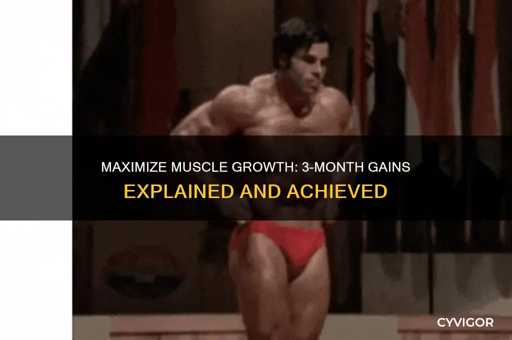 how much muscle can you gain in 3 months eddit