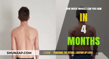 Maximize Muscle Growth: 4-Month Gains Explained and Achieved