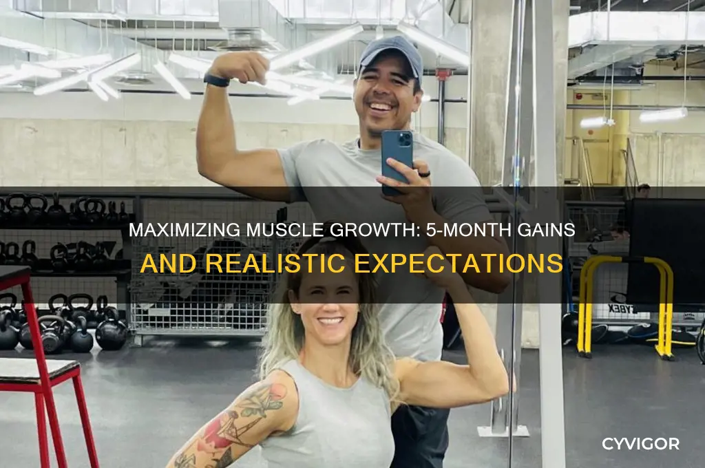 how much muscle can you gain in 5 months
