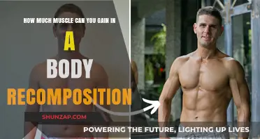 Maximize Muscle Gain During Body Recomposition: What’s Realistically Possible?