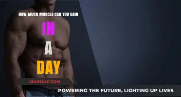 Daily Muscle Growth: Realistic Gains and What Influences Them