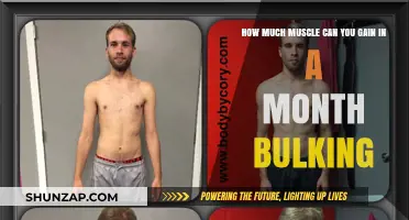 Maximize Monthly Muscle Gains: Realistic Bulking Results in 30 Days