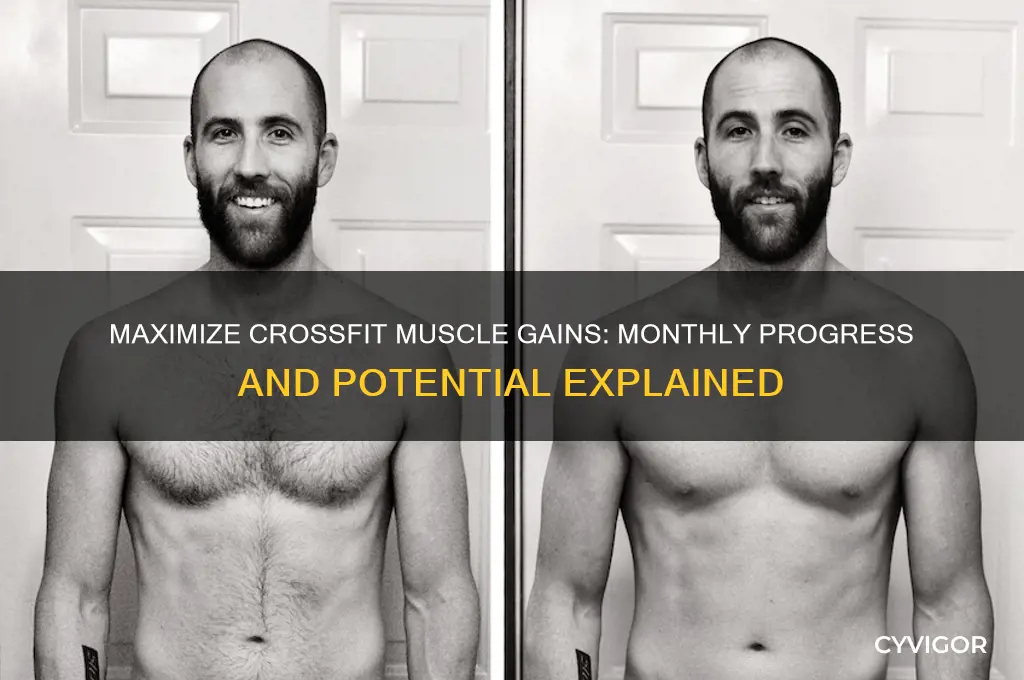 how much muscle can you gain in a month crossfit
