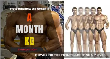 Monthly Muscle Gain: Realistic KG Growth Expectations Explained