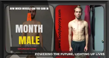 Maximizing Monthly Muscle Gains: Realistic Expectations for Men