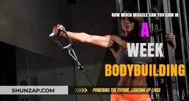 Weekly Muscle Gains: Realistic Expectations for Bodybuilding Progress