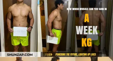Weekly Muscle Gain: Realistic Expectations and Achievable Results in Kilograms