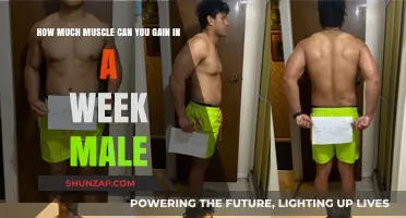 Maximizing Weekly Muscle Gains: Realistic Expectations for Men