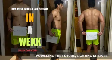 Maximizing Weekly Muscle Gains: Realistic Expectations and Strategies