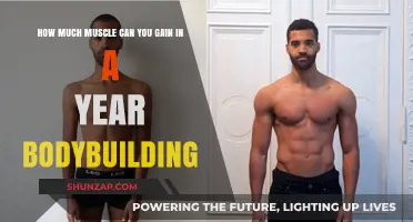 Maximize Your Gains: Realistic Muscle Growth in One Year
