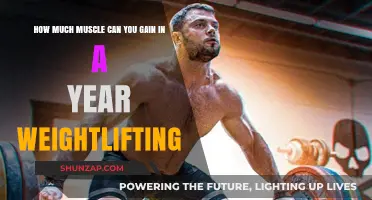 Maximize Muscle Growth: Yearly Gains from Weightlifting Explained