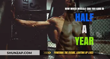 Maximize Muscle Growth: Half-Year Gains and Realistic Expectations