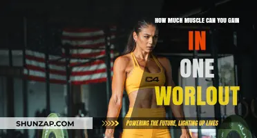 Maximizing Muscle Growth: What One Workout Can Achieve