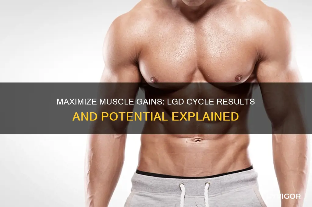 how much muscle can you gain lgd cycle